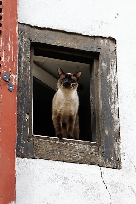 Bayonne-Avril 2012-094